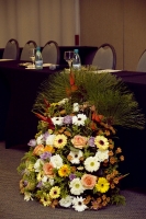 Credenciais Londrina_1