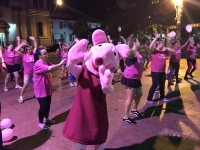 Santo Antônio da Platina-48